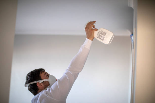Best Fast Mold Removal  in Las Cruces, NM