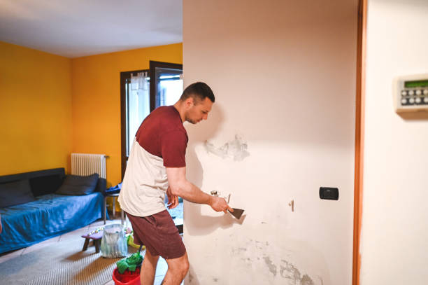 Best Attic Mold Removal  in Las Cruces, NM